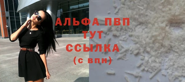 индика Магас