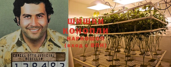 трава Бородино