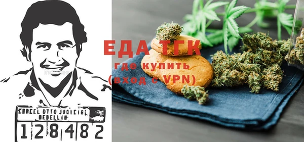 индика Магас