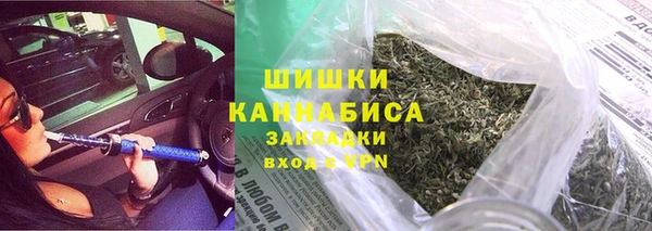 трава Бородино