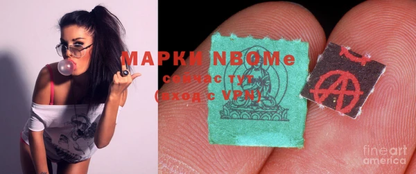 индика Магас